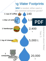 Calculating Water Footprints