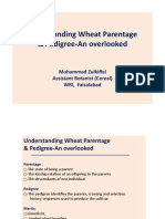 Understanding Wheat Parentage & Pedigree-An Overlooked: Muhammad Zulkiffal Assistant Botanist (Cereal) WRI, Faisalabad