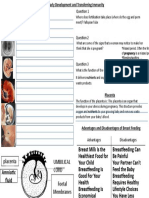 Foetal Development Worksheet - PPTX New