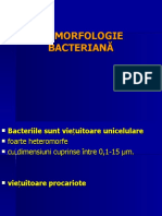3 - 1 - Morfologia Bacteriilor