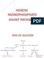 Hexose Monophosphate Shunt Pathway