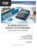 INTRODUCTION BUDGET