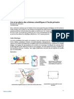 Lire Et Produire Des Schémas Scientifiques À L'école Primaire