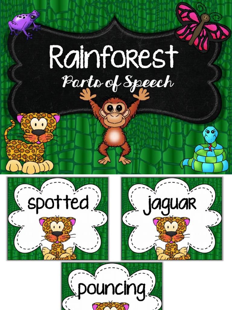 Why is it important to save the rainforest picture