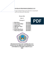 Tugas PromKes MK Komunitas Ns. Andi