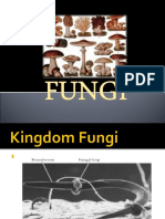 BOT 3:fungi