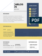 plantilla-tecnico-informatico