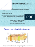 Transport Membran