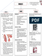 Bronquiolos - Mapa Conceptual