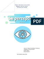 Percepción Visual, Mapa Mental