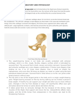 Anatomy and Physiology of The Hip