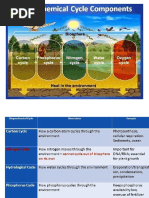 Biogeochemical Cycles