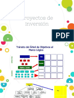 Ciclo vida proyectos inversión