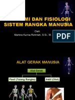 Bab V - Anatomi dan Fisiologi Sistem Rangka