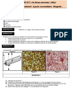 Série Dexercices SVT Le Tissu Nerveux Bac Sciences Exp 2017 2018