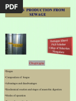 Biogas Production From Sewage