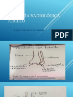 Exposicion Laboratorio Morfo