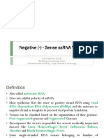 Negative (-) - Sense ssRNA Viruses