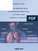 Sistema Tegumentario y Respiratorio