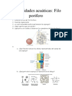 Comunidades acuáticas: características y clasificación del Filo Porífero