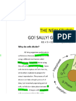 Cell Cycle