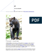 Black Panther: From Wikipedia, The Free Encyclopedia