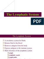 lymphatic-system