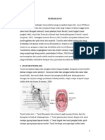 Laporan Pendahuluan Tonsilitis