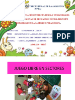 Juego Libre en Sectores