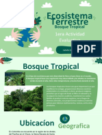 Ecosistema Terrestre