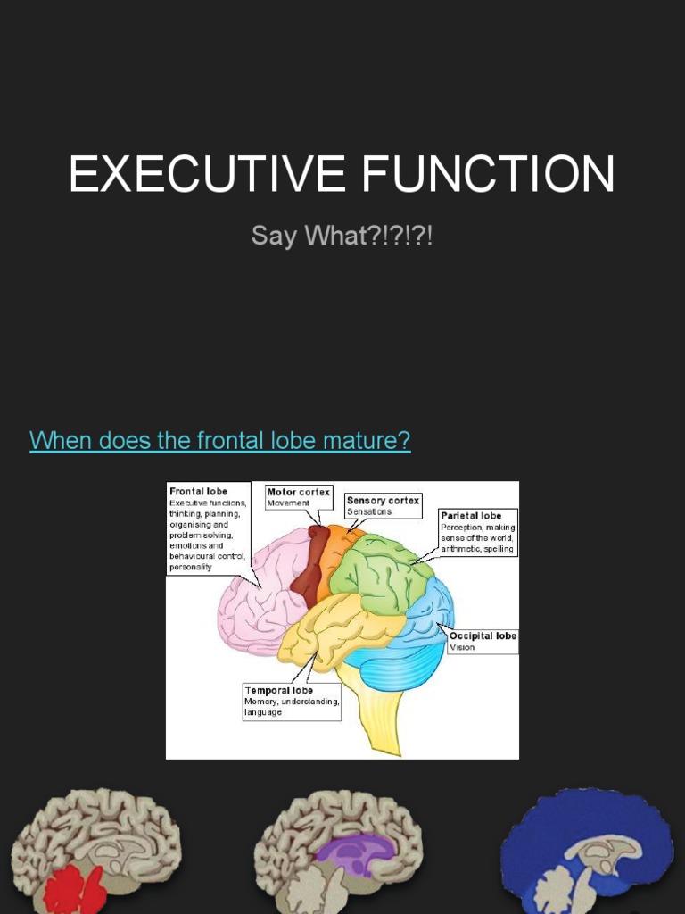Executive Function PDF