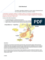 Aula 2 (Ciclo menstrual)