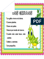Texto Informativo Los Grillos