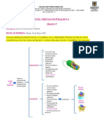 Guia 4 Ciencias