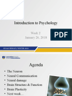 Psychology Week 2 - Nervous System 2018