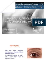 PDF El Parpado