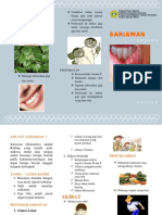 Leaflet Sariawan