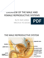 02 Overview of the Male and Female Reproductive Systems