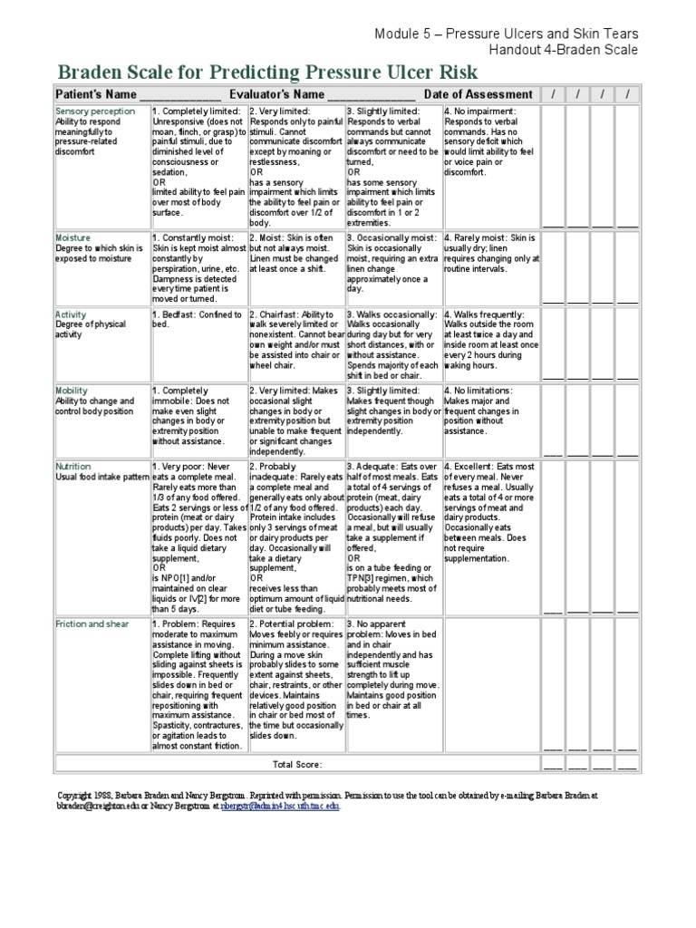 4 Braden Scale For Predicting Pressure Ulcer Risk PDF Pain