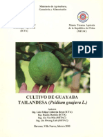 Cultivo de Guayaba Tailandesa, 2000