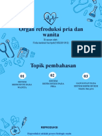 Sistem Reproduksi Pria Dan Wanita