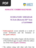 Download Somatic Embryo Genesis by Sudhanshu Shekhar SN50431330 doc pdf