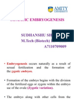 Somatic Embryo Genesis