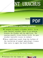 Canubas Patent Urachus