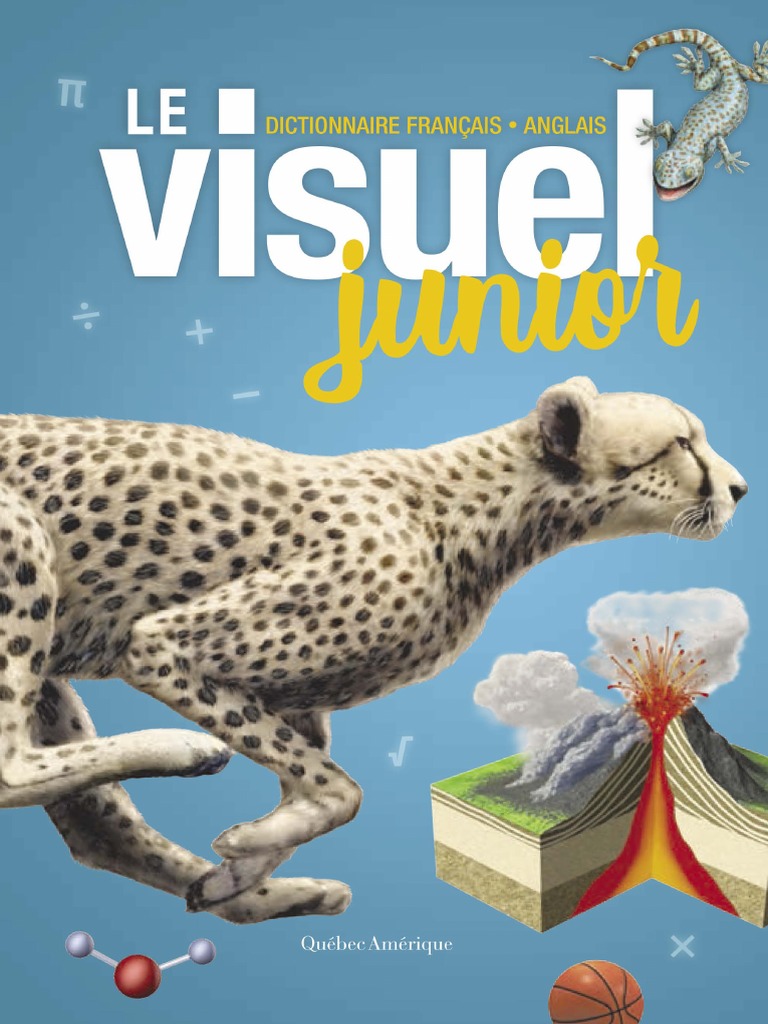 Visuel Junior Le Quebec Amerique Pdf Autobus Transport