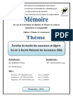 Memoire Fin D'etude