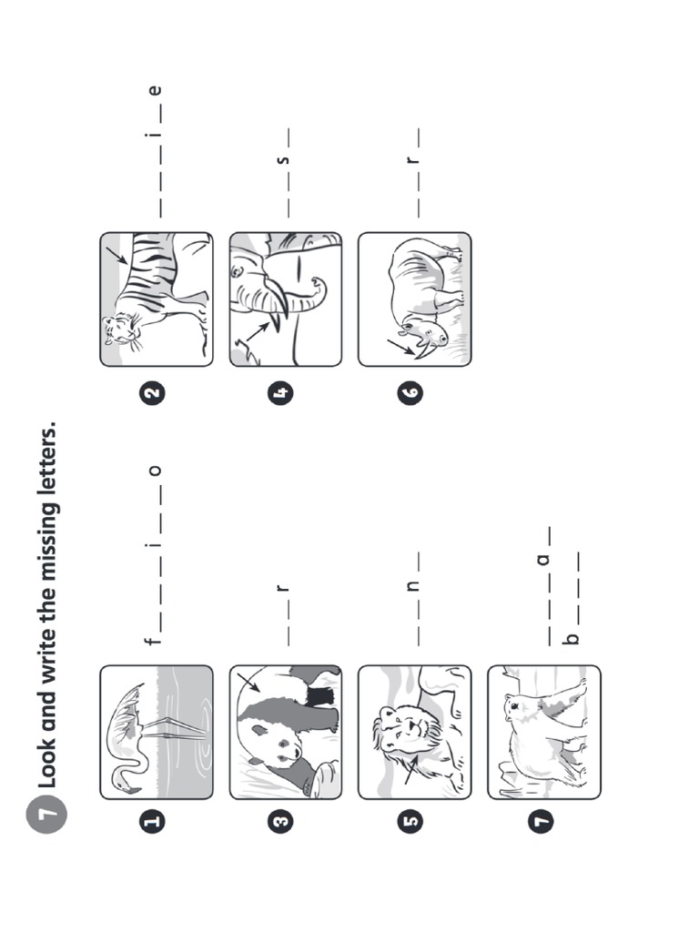 Tiger 5 Unit 3 Practice Pdf