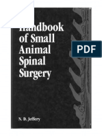 Pentoject | PDF | Injection (Medicine) | Intravenous Therapy