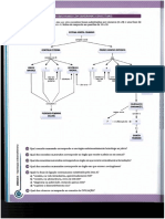 Diagramas conceituais_Sist reprodutor