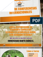 Ponencia Subsidios Sector Rural 2